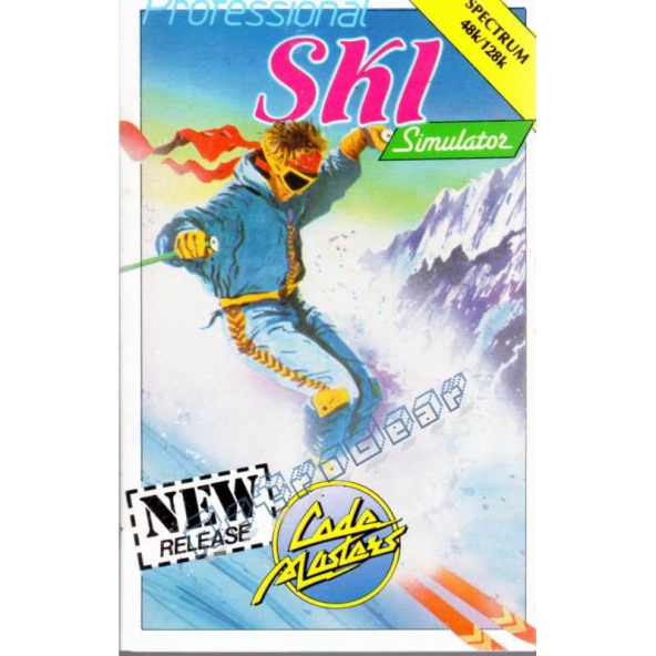 Professional Ski Simulator